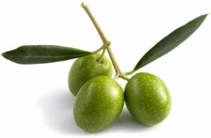 l'idrossitirosolo è un componente naturale delle olive